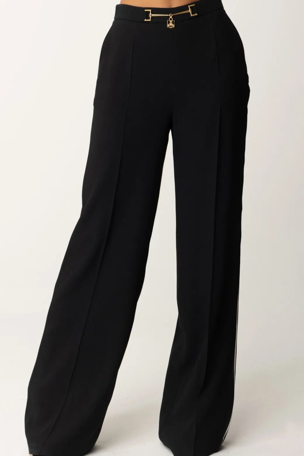 Donna Elisabetta Franchi Pantaloni Palazzo In Satin con Morsetto